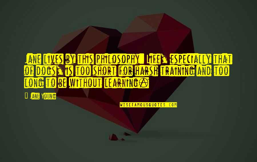 Louizos Goldsmiths Quotes By Jane Young: Jane lives by this philosophy: Life, especially that