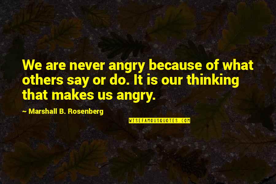 Loukanika Quotes By Marshall B. Rosenberg: We are never angry because of what others