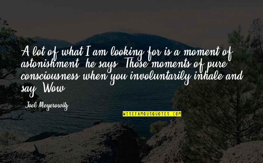Loukianos Kilaidonis Quotes By Joel Meyerowitz: A lot of what I am looking for