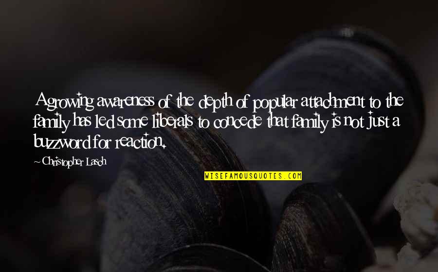 Loumia Hiridjee Quotes By Christopher Lasch: A growing awareness of the depth of popular Loumia Hiridjee Quotes By Christopher Lasch: A growing awareness of the depth of popular