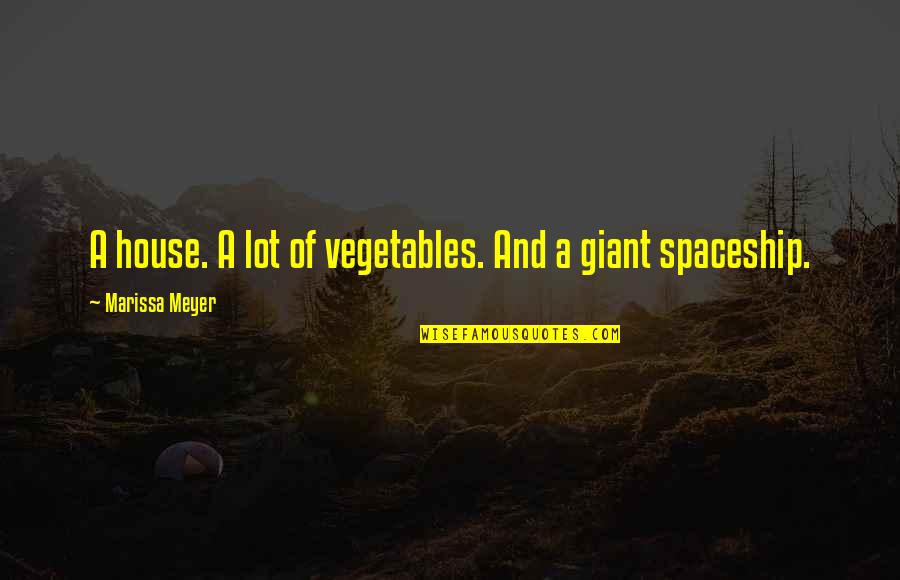 Lounge Dress Quotes By Marissa Meyer: A house. A lot of vegetables. And a