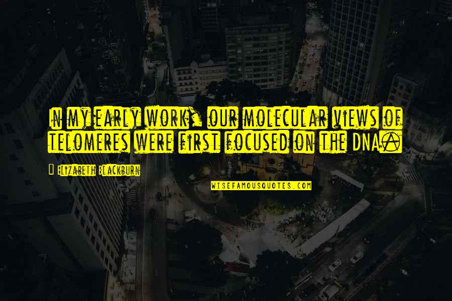 Loupe Magnifier Quotes By Elizabeth Blackburn: In my early work, our molecular views of