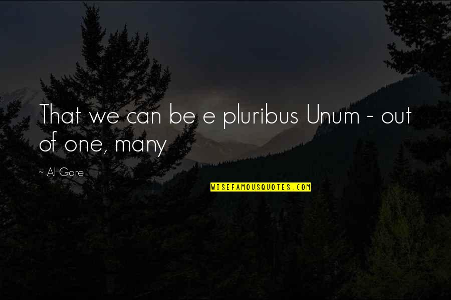 Loureiro Grape Quotes By Al Gore: That we can be e pluribus Unum -