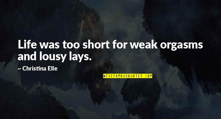 Lousy Life Quotes By Christina Elle: Life was too short for weak orgasms and