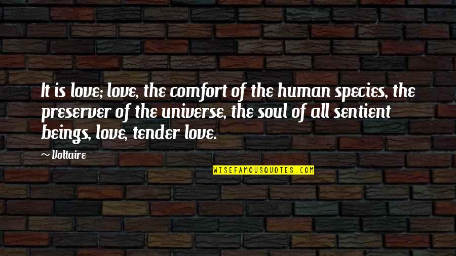 Love All Beings Quotes By Voltaire: It is love; love, the comfort of the