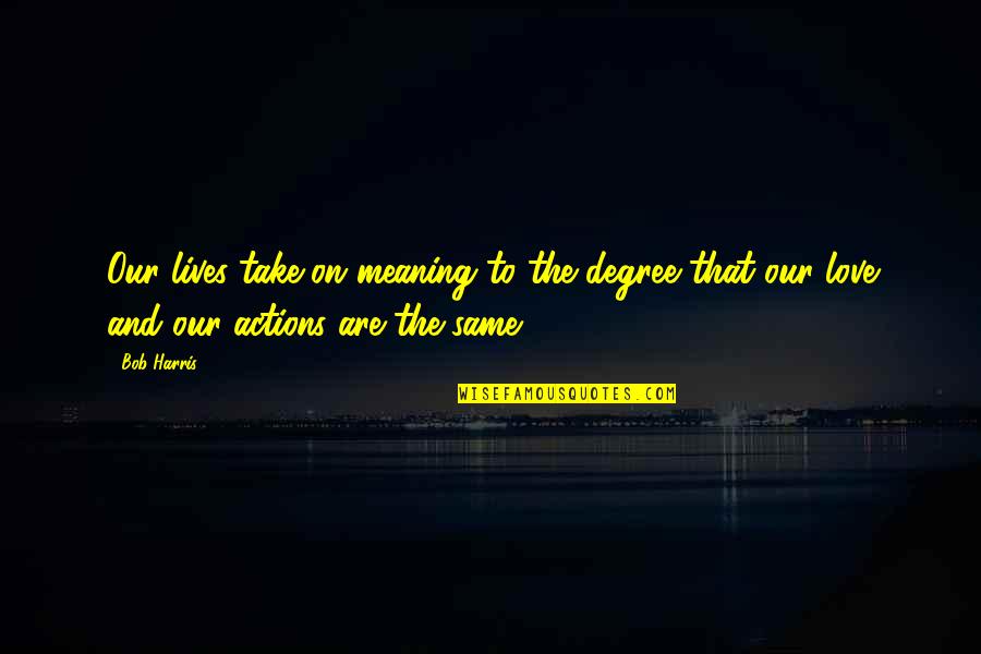 Love And Actions Quotes By Bob Harris: Our lives take on meaning to the degree