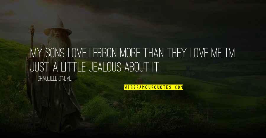Love And Basketball Love Quotes By Shaquille O'Neal: My sons love LeBron more than they love