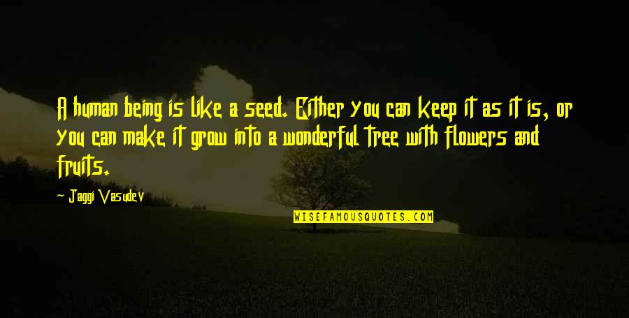 Love And Life Tree Quotes By Jaggi Vasudev: A human being is like a seed. Either