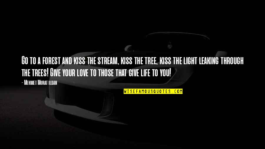 Love And Life Tree Quotes By Mehmet Murat Ildan: Go to a forest and kiss the stream,