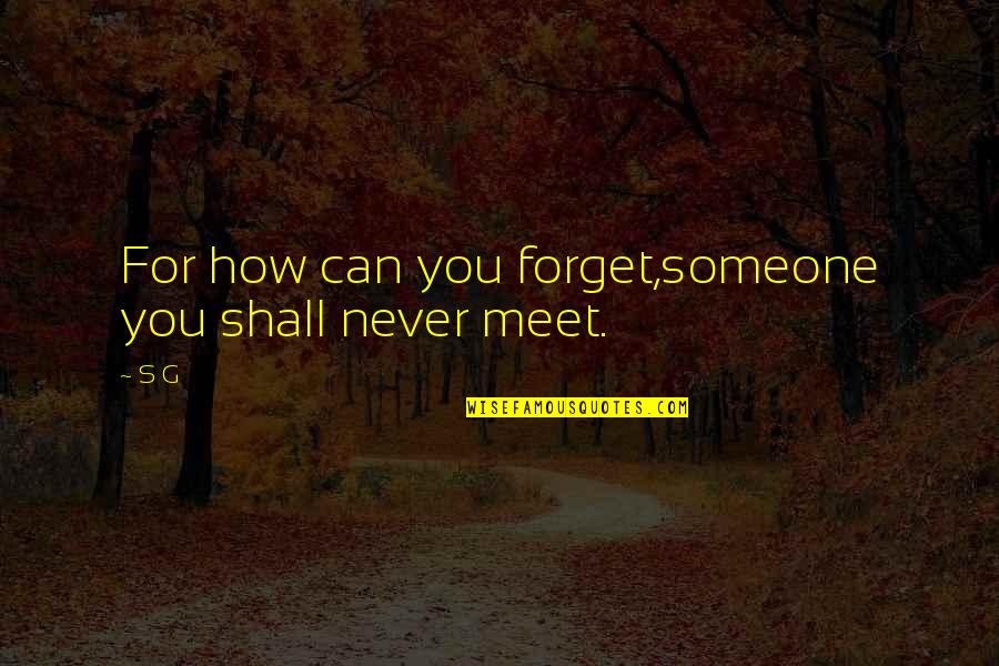 Love And Long Distance Quotes By S G: For how can you forget,someone you shall never