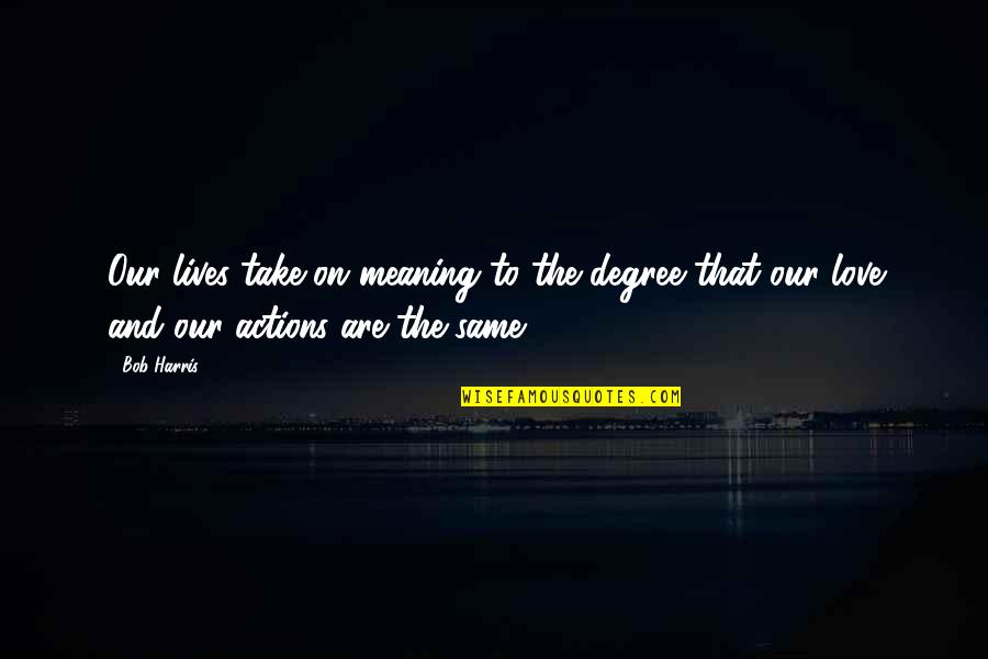 Love And Meaning Quotes By Bob Harris: Our lives take on meaning to the degree
