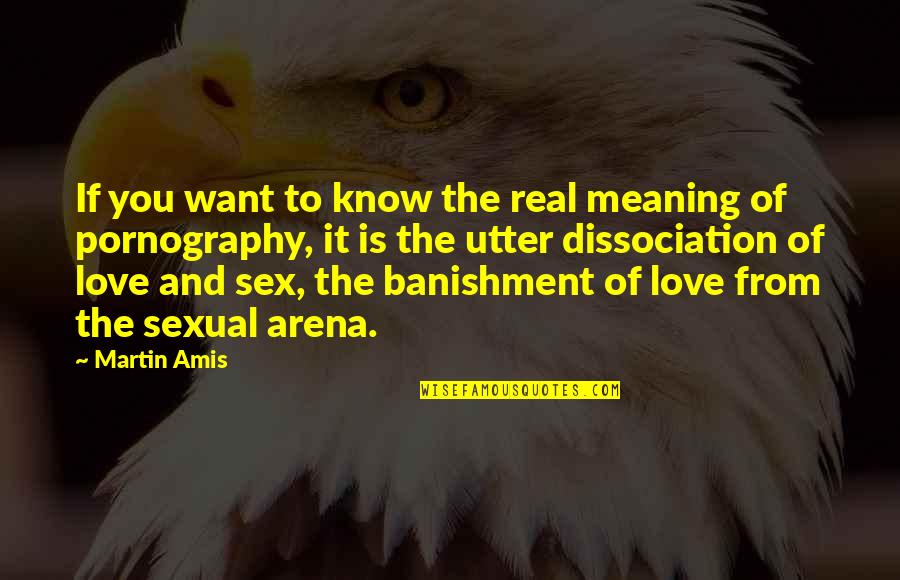 Love And Meaning Quotes By Martin Amis: If you want to know the real meaning