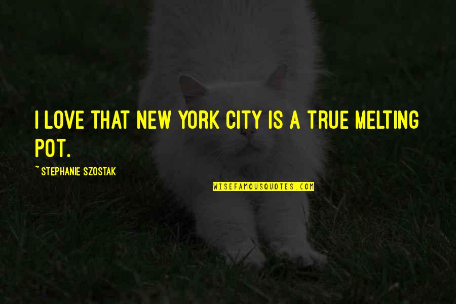 Love And Melting Quotes By Stephanie Szostak: I love that New York City is a