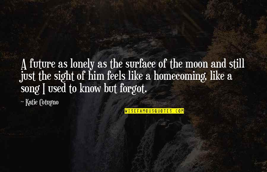 Love And Moon Quotes By Katie Cotugno: A future as lonely as the surface of