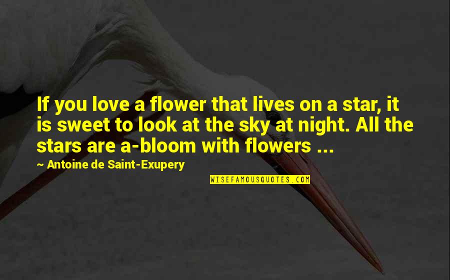 Love And Night Sky Quotes By Antoine De Saint-Exupery: If you love a flower that lives on