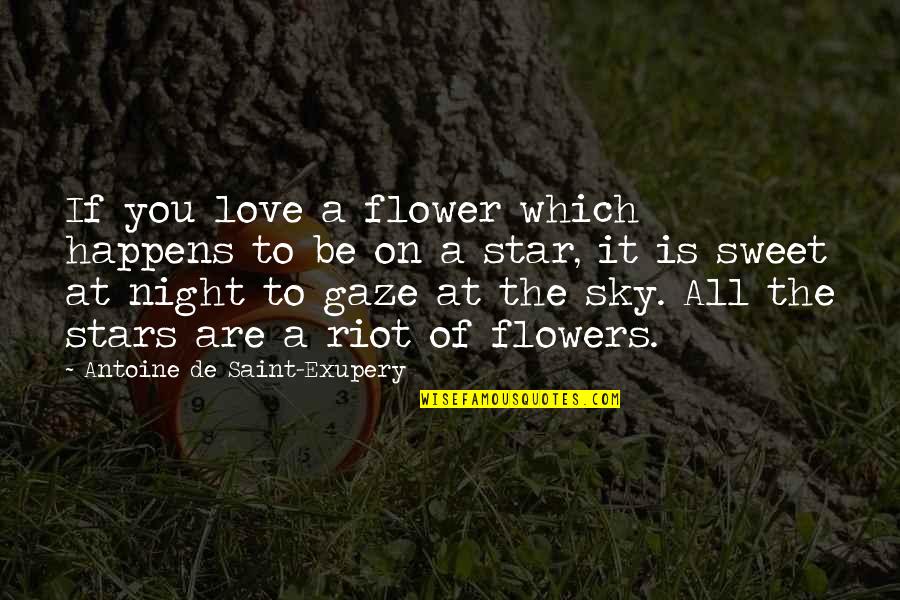 Love And Night Sky Quotes By Antoine De Saint-Exupery: If you love a flower which happens to