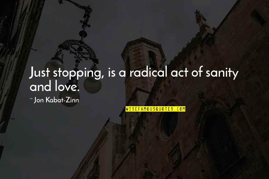 Love And Sanity Quotes By Jon Kabat-Zinn: Just stopping, is a radical act of sanity