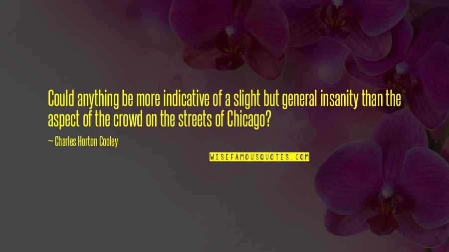 Love And Social Class Quotes By Charles Horton Cooley: Could anything be more indicative of a slight