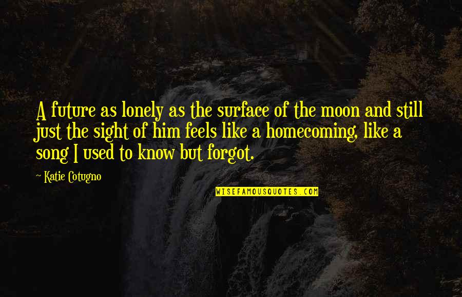 Love And The Moon Quotes By Katie Cotugno: A future as lonely as the surface of