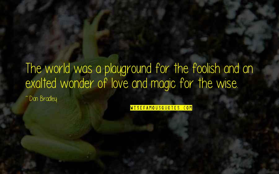 Love And The World Quotes By Don Bradley: The world was a playground for the foolish