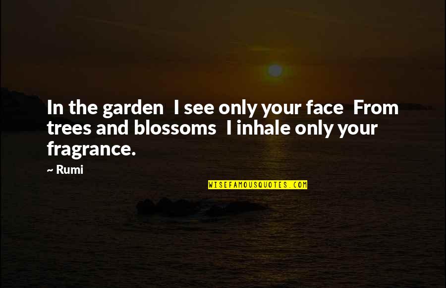 Love And Vices Quotes By Rumi: In the garden I see only your face