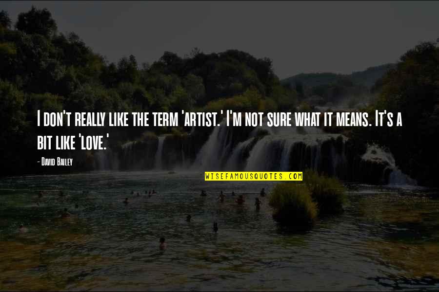 Love And What It Means Quotes By David Bailey: I don't really like the term 'artist.' I'm Love And What It Means Quotes By David Bailey: I don't really like the term 'artist.' I'm