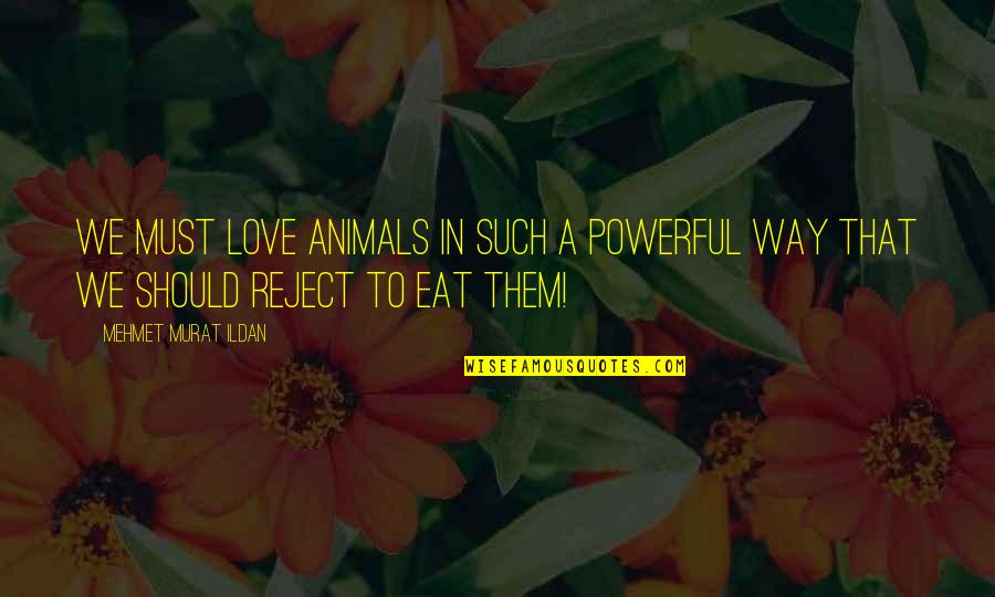 Love Animal Quotes By Mehmet Murat Ildan: We must love animals in such a powerful