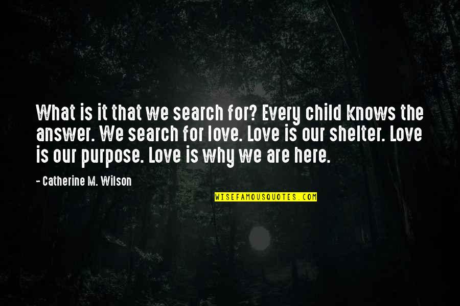Love Answer Quotes By Catherine M. Wilson: What is it that we search for? Every