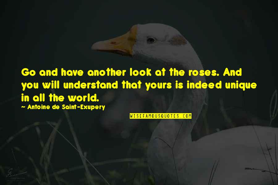 Love Antoine De Saint Exupery Quotes By Antoine De Saint-Exupery: Go and have another look at the roses.