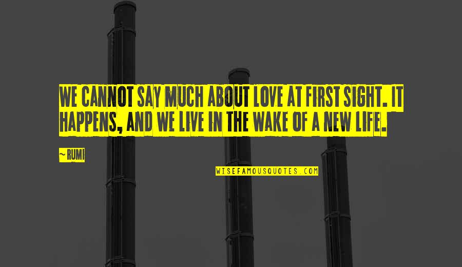 Love At The First Sight Quotes By Rumi: We cannot say much about love at first