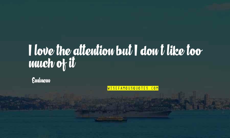 Love Attention Quotes By Eminem: I love the attention but I don't like
