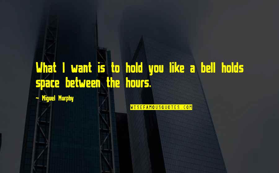 Love Beam Quotes By Miguel Murphy: What I want is to hold you like