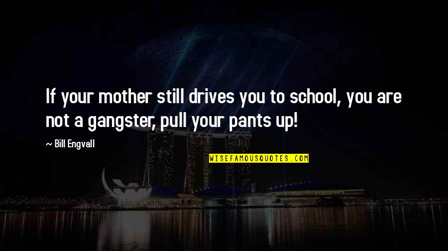 Love Because Of Money Quotes By Bill Engvall: If your mother still drives you to school,