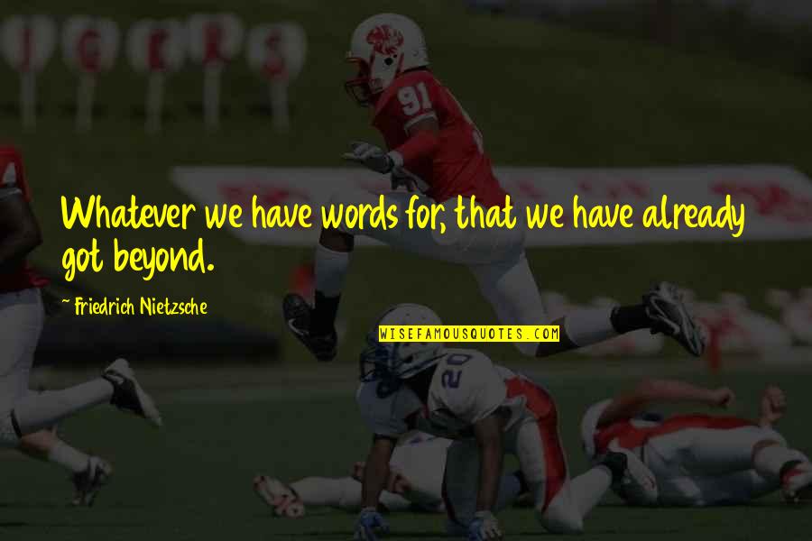 Love Beyond Quotes By Friedrich Nietzsche: Whatever we have words for, that we have