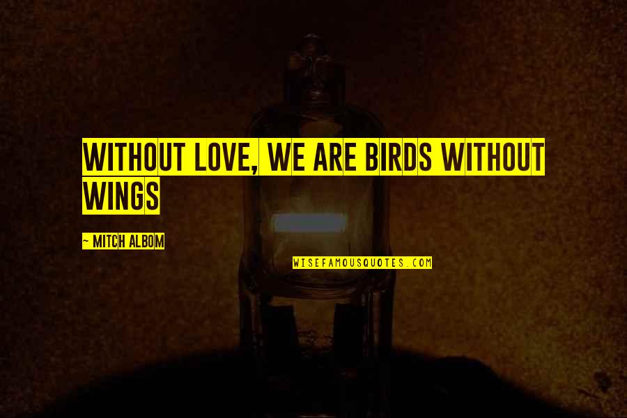 Love Birds Love Quotes By Mitch Albom: Without love, we are birds without wings