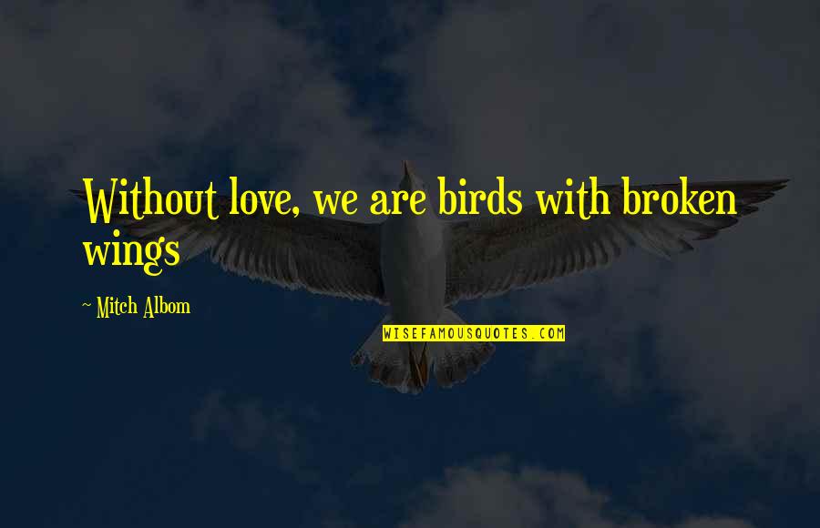 Love Birds Love Quotes By Mitch Albom: Without love, we are birds with broken wings