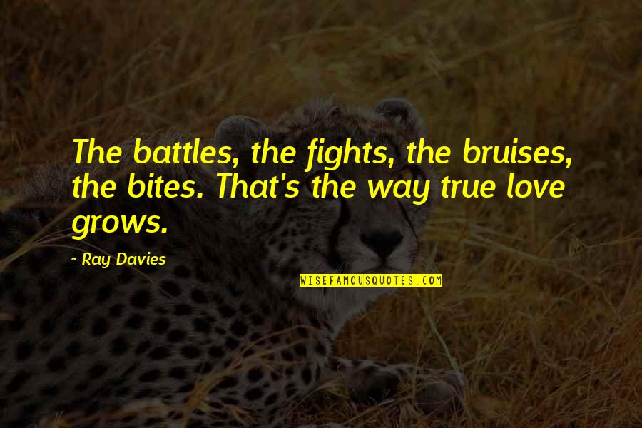 Love Bites Quotes By Ray Davies: The battles, the fights, the bruises, the bites.