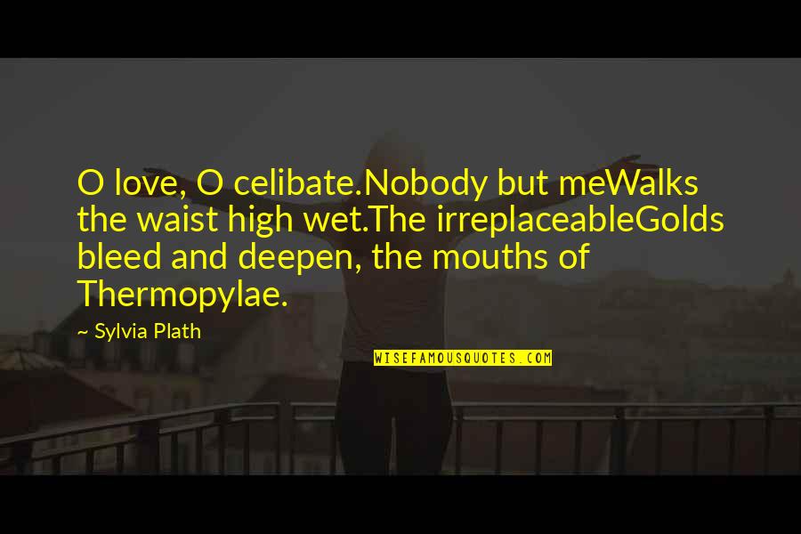 Love Bleed Quotes By Sylvia Plath: O love, O celibate.Nobody but meWalks the waist