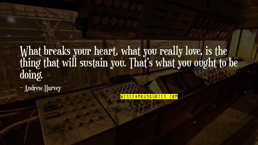 Love Break Quotes By Andrew Harvey: What breaks your heart, what you really love,