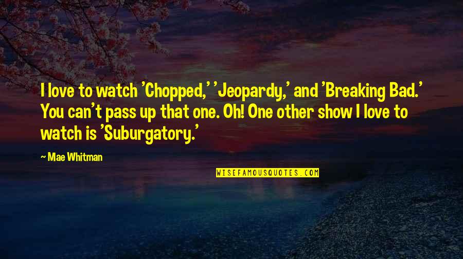 Love Breaking Bad Quotes By Mae Whitman: I love to watch 'Chopped,' 'Jeopardy,' and 'Breaking