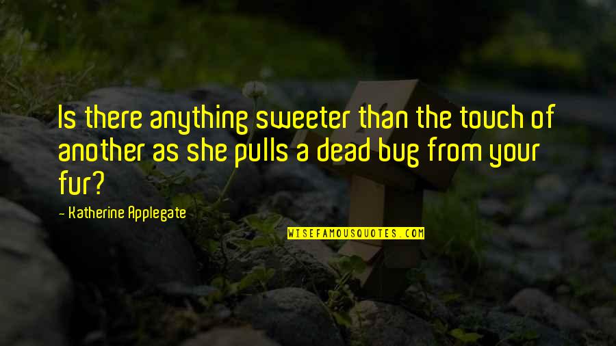 Love Bug Quotes By Katherine Applegate: Is there anything sweeter than the touch of