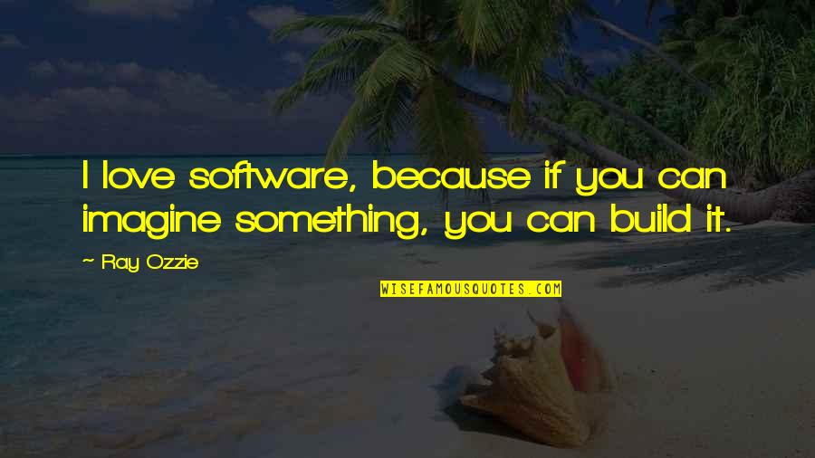 Love Build Quotes By Ray Ozzie: I love software, because if you can imagine