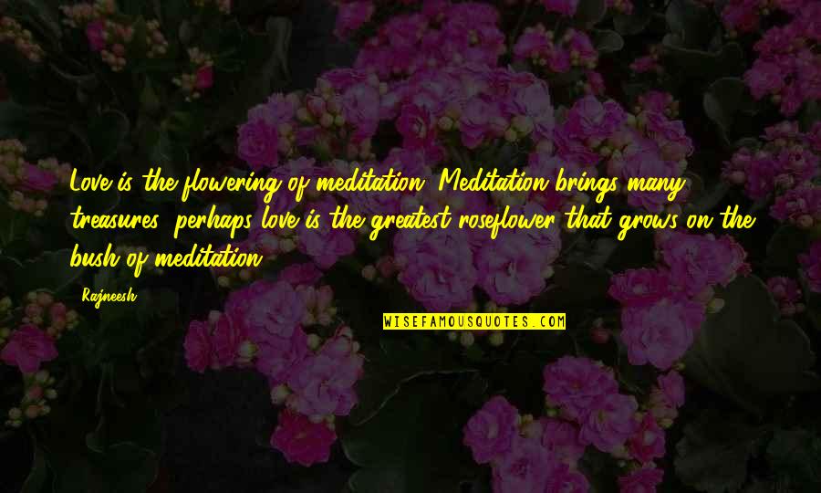Love Bush Quotes By Rajneesh: Love is the flowering of meditation. Meditation brings Love Bush Quotes By Rajneesh: Love is the flowering of meditation. Meditation brings