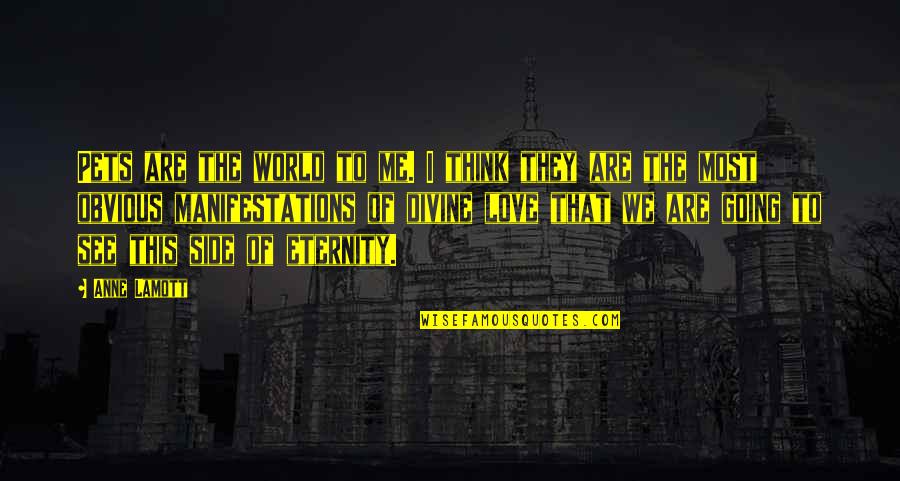 Love But Not Obvious Quotes By Anne Lamott: Pets are the world to me. I think