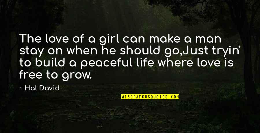Love Can Build Quotes By Hal David: The love of a girl can make a