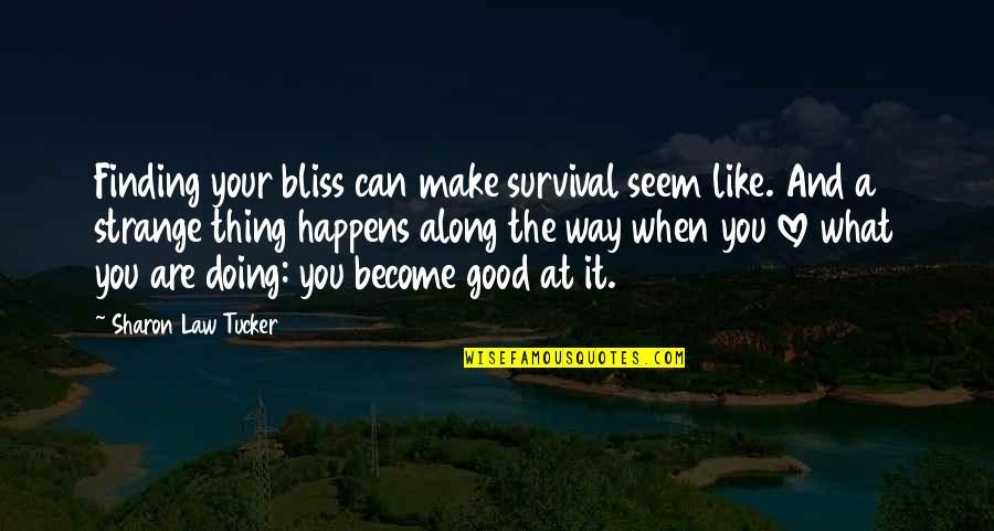 Love Can Make You Quotes By Sharon Law Tucker: Finding your bliss can make survival seem like.