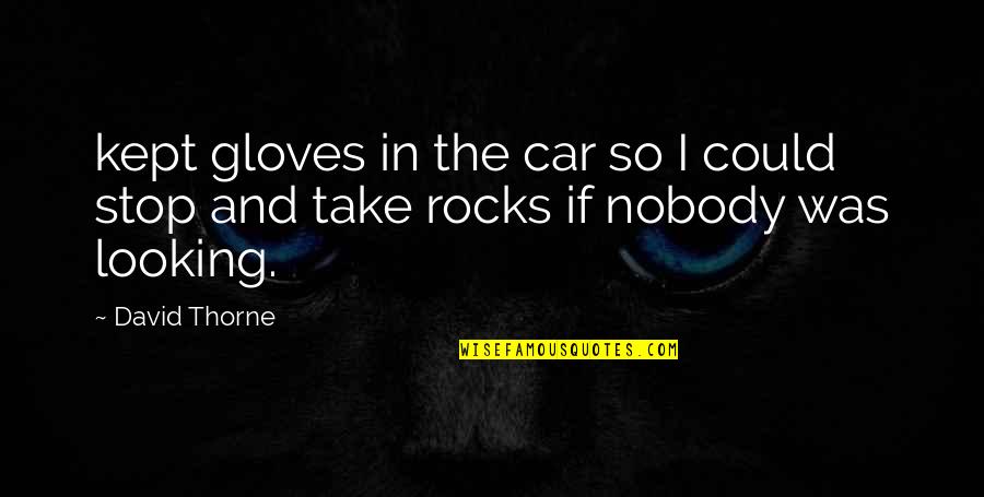 Love Can't Be Shared Quotes By David Thorne: kept gloves in the car so I could