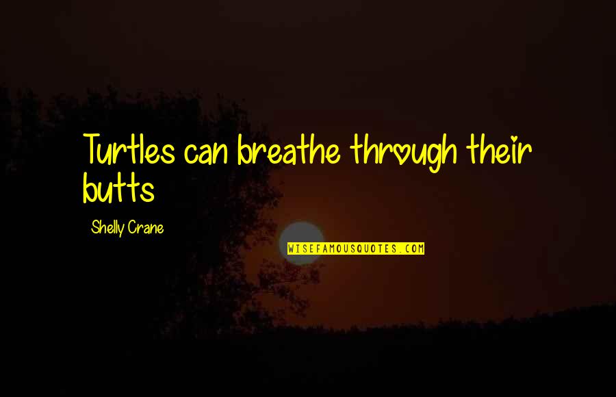 Love Can't Be Shared Quotes By Shelly Crane: Turtles can breathe through their butts Love Can't Be Shared Quotes By Shelly Crane: Turtles can breathe through their butts