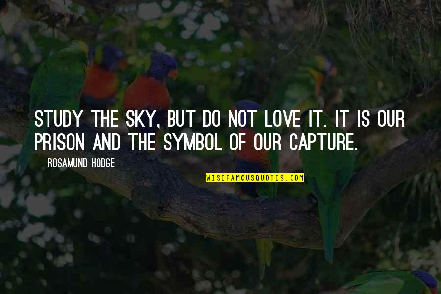 Love Capture Quotes By Rosamund Hodge: Study the sky, but do not love it.