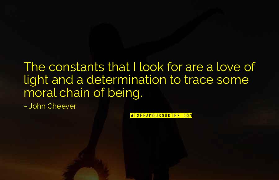 Love Chain Quotes By John Cheever: The constants that I look for are a